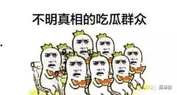 吃瓜群众的自我修养全文,理性围观，文明互动