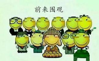 秋名山上的吃瓜群众是谁,他们是谁？为何如此关注？