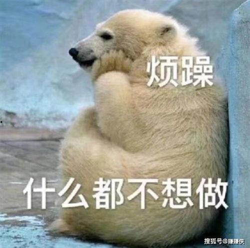 吃瓜群众恶心的图片,直呼难以忍受