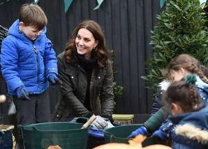 露丝吃瓜群众,吃瓜群众的美食探索之旅