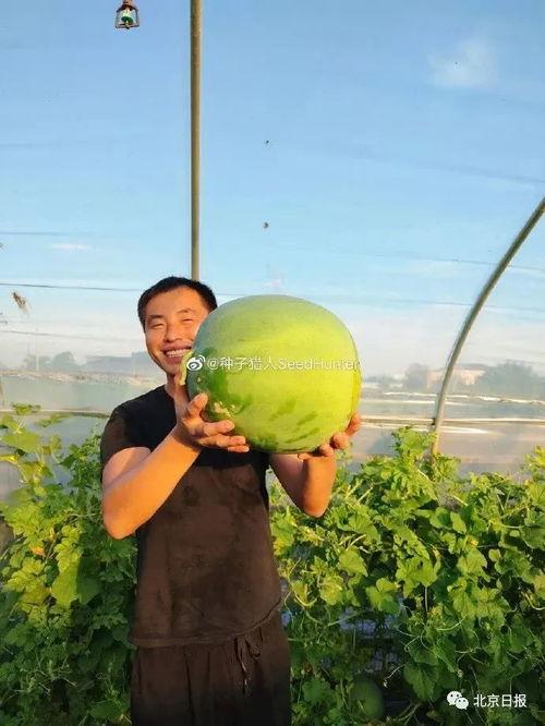 一百年前吃瓜群众,揭秘一百年前的社会百态