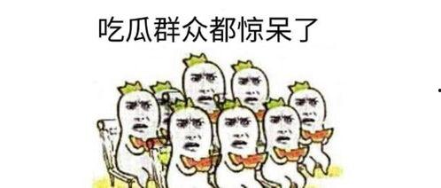 吃瓜群众岱岱图  匕见,一场网络热议背后的真相