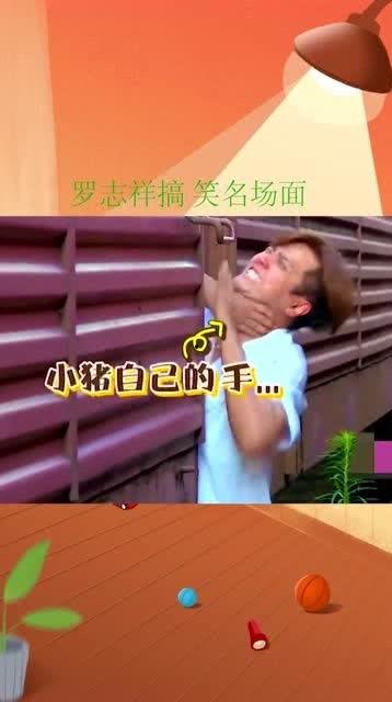 吃瓜群众小猪猪是谁,吃瓜群众小猪猪的传奇故事