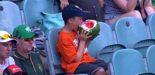 吃瓜群众看球赛,吃瓜群众视角下的激情球赛盛宴