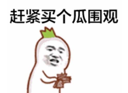 蔡小葵吃瓜群众是真的吗,吃瓜群众身份之谜揭晓