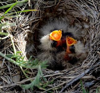 嗷嗷待哺的吃瓜群众,揭秘娱乐圈幕后真相