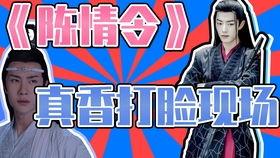 大型吃瓜群众陈情令,大型吃瓜群众的热血青春传奇