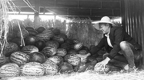 吃瓜群众岱岱失踪,真相扑朔迷离