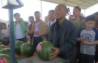 东北小品吃瓜群众,揭秘民间智慧的幽默魅力