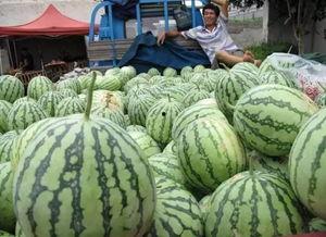 吃瓜群众的崩溃视频