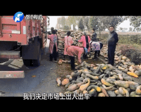 大姐吃瓜群众下午好,午后闲谈，揭秘娱乐圈风云