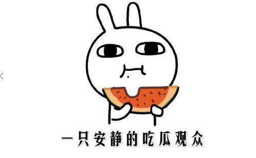 抖音吃瓜群众最新视频在线观看,吃瓜群众最新视频揭秘，带你一探究竟！