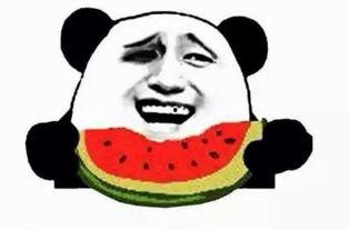 吃瓜群众小狗