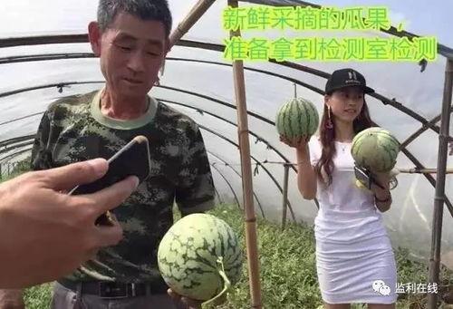 直播吃瓜群众怎么弄的啊,揭秘网络直播中的“瓜田”玩法